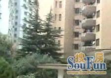 电梯房,二梯四户,大两房,环境优美,交通便利,居家装修