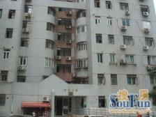 真北三街坊1室南朝向228.00万元/套出售