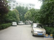红运花园馨苑3室2厅东东南