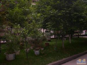 锦秀民居3室2厅南北