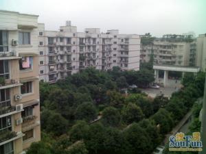 锦秀民居2室2厅东南