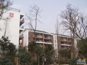 金沙古韵3室2厅西