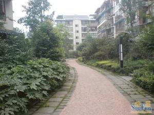 金沙古韵4室2厅西南