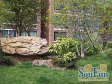 房型正气、视野好、电梯房&#x2B;近商圈&#x2B;近地铁三号线