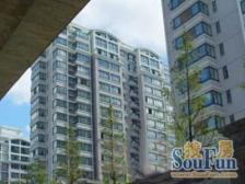 电梯顶楼复式+带露台+06年商品房+采光通风都很好