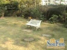 百合花苑 4室1厅 东南