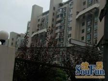 无抵押 现场实勘,店长力推