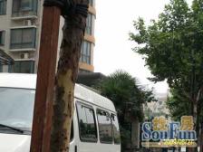 通河泗塘·昌鑫时代绿园·2室·2厅