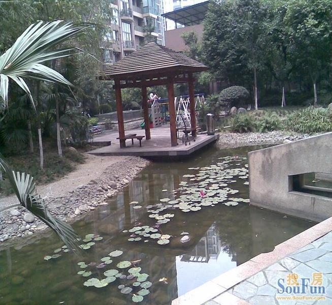 小区相关图