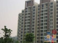 俯瞰花园温馨电梯高层-业主家里等看房