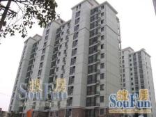 视野好+电梯房+黄埔江畔+低总价+房龄新+大零号湾