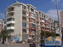 东川苑 3室2厅 南