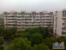 金桥 · 双桥小区-双桥路220弄 · 1室 · 1厅