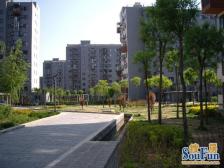 双桥小区2室西朝向421.00万元/套出售