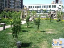 金桥·双桥小区-双桥路220弄·2室·0厅