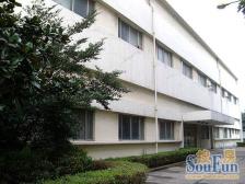 近1号锦江乐园,新出精装一房,一楼带院子,方便老人孩子居住