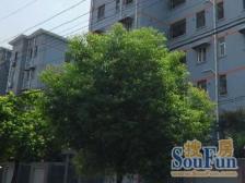 满五税费少,电梯中高层,古美同价位无竞品