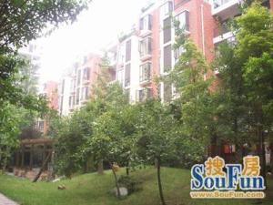 锦洲花园1室1厅西南