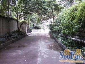 平福巷2号小区2室1厅南