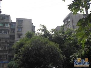 青华路22号3室2厅南