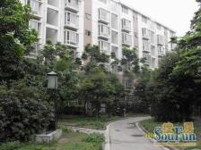培风小区80号3室1厅东南