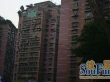 渝中区解放碑三房双卫电梯房出售业主诚心