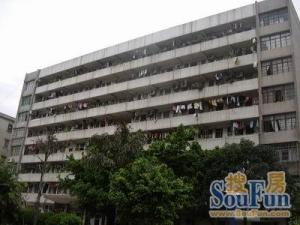 省电力一局南北对流电梯3房业主诚心出