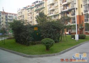 锦翠花园南苑1室1厅东南