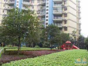 博雅庭韵3室1厅西南
