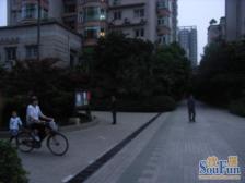 长城园1室1厅东北