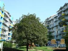 今日花园 2室1厅 东南