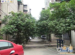 西华家园 1室1厅 东