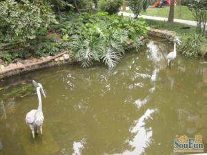 金地贝福里花园4室2厅南