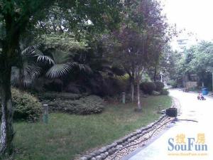 爱家馨城 3室2厅 东南