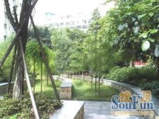 品质小区,正规大两房朝中庭 ,住家安静,交通方便