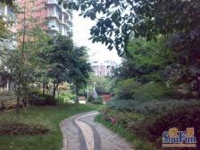 兴元花园二期 2室1厅 西南