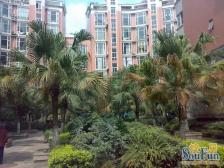 兴元花园二期 6室1厅 东南