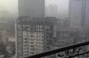 鸿禧花园实景图
