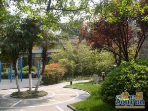 彩世界 1室1厅 东