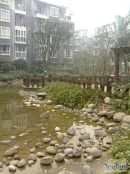 小区相关图