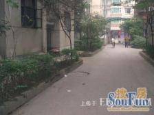 百花东街52号 1室2厅 南