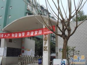 恋日家园H区3室1厅东南