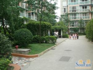 碧莲雅舍4室2厅南