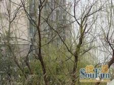 临河大四房带产权车位万科物业