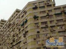 新苑南北全明的好户型 主客卧空间分离 生活互不影响