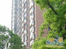 配套完善,交通便利,田园风格,近商圈