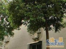 新上电梯房两房一厅!精装修!前后无遮挡!上绿苑!老业主委托!