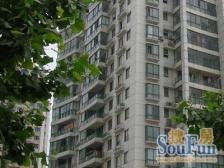 北滨江靠江边书f户型正出国诚意出售有车位