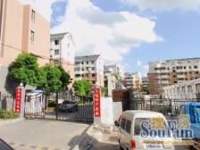 张江南|康桥|宁怡苑|近秀沿路站|开市客