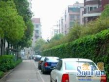 业主诚意出售,21年买进全新装修。全明户型。